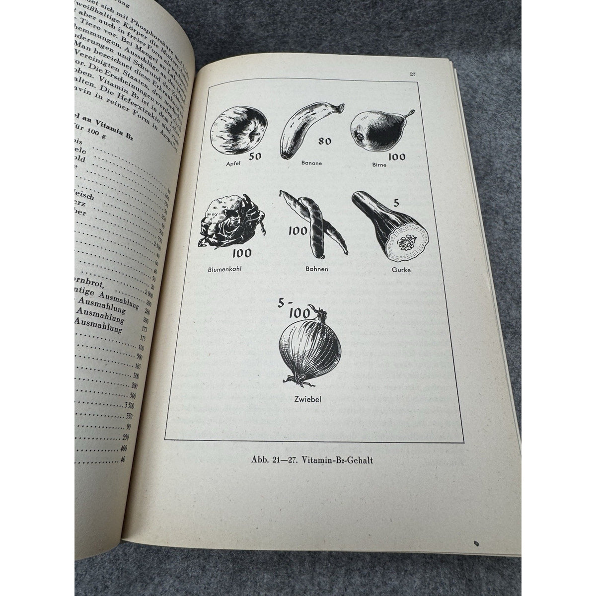 Wisse Erkenne Handle Wilhelm Heupke 1959 German Medical Anatomy Illustrated HC