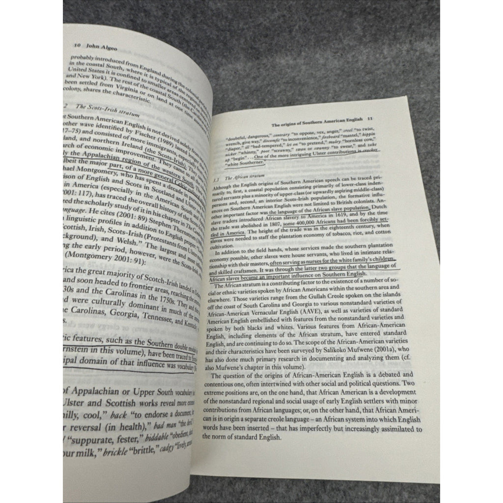 Studies in English Language Ser.: English in the Southern United States by Sara