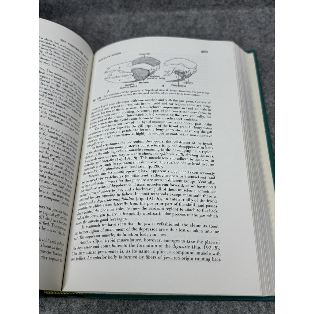 The Vertebrate Body Alfred Romer 3rd Ed 1966 Comparative Anatomy Illustrated