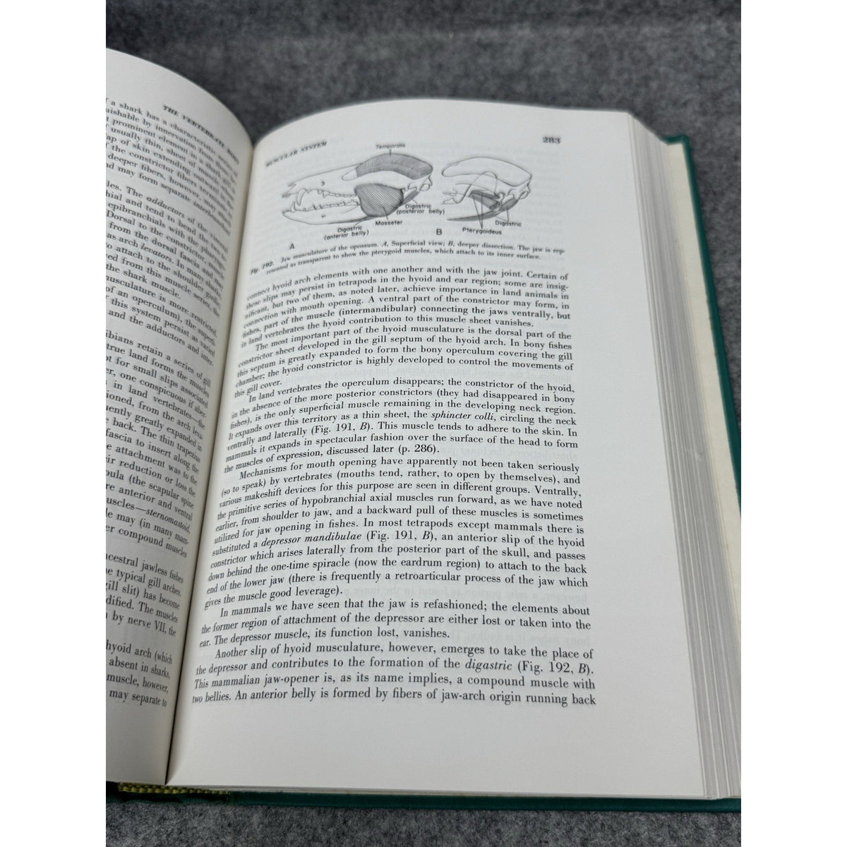 The Vertebrate Body Alfred Romer 3rd Ed 1966 Comparative Anatomy Illustrated