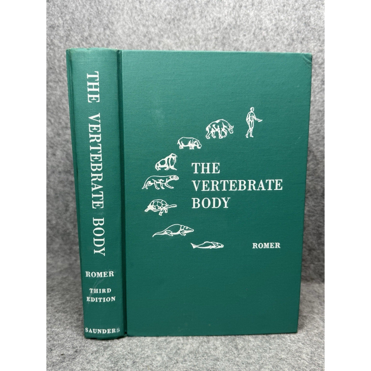 The Vertebrate Body Alfred Romer 3rd Ed 1966 Comparative Anatomy Illustrated