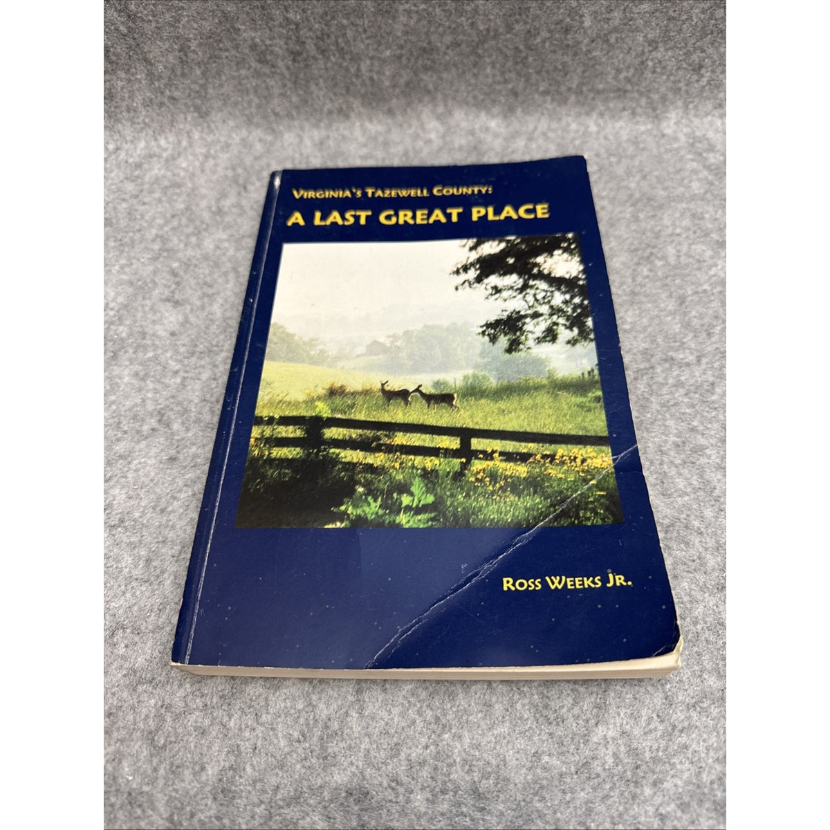 'A Last Great Place' Tazwell County, Virginia, Ross Weeks, 2000 Softcover