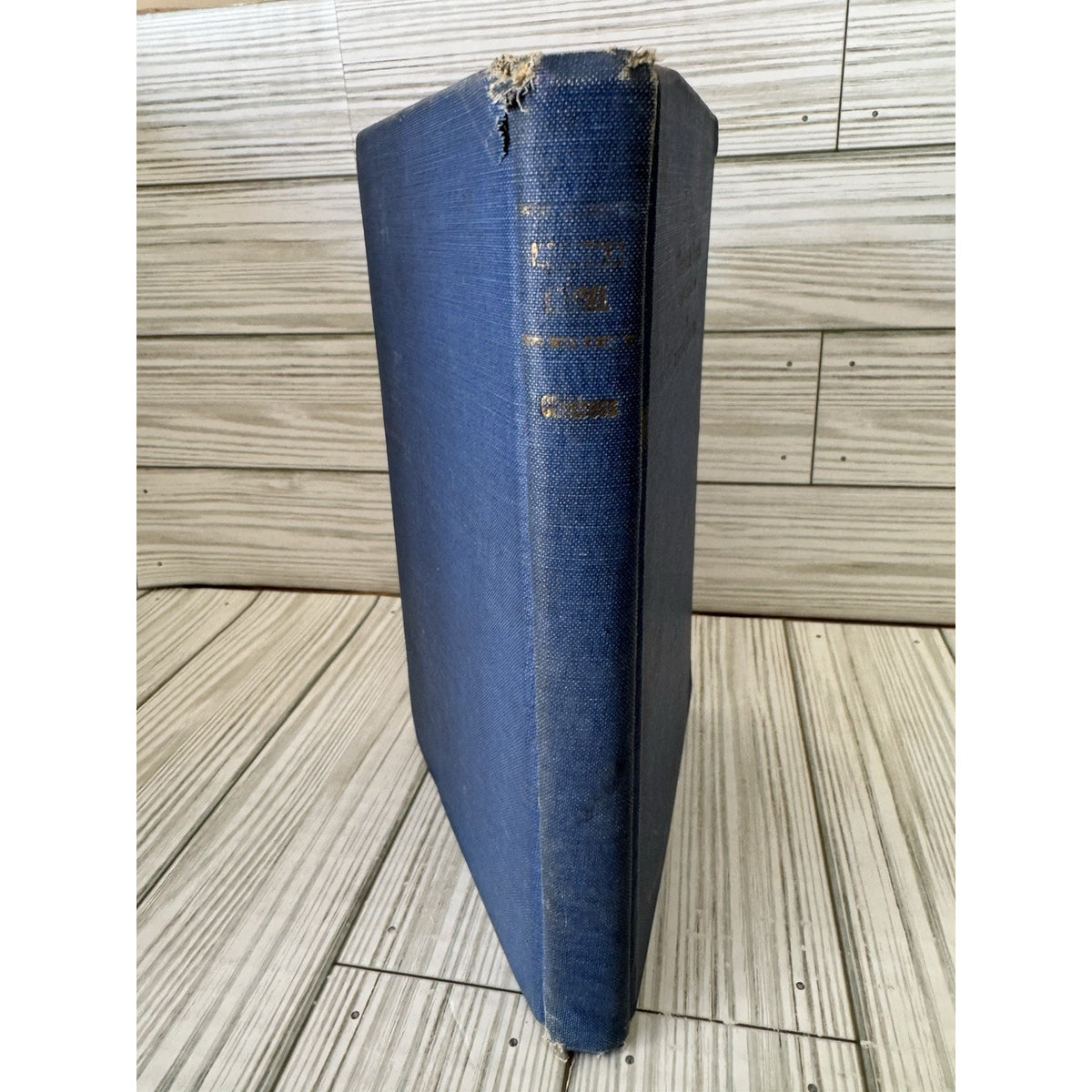 Mountain Laurel and Other Poems W Lomax Childress 1924 HC