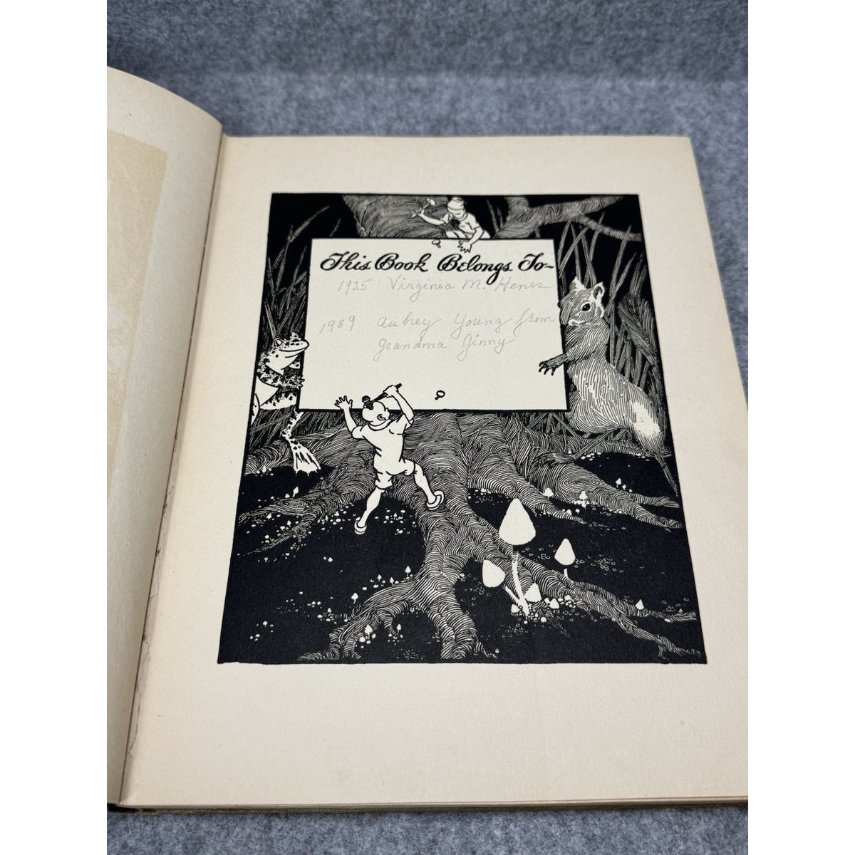 The Teenie Weenies in the Wildwood William Donahey 1923 Illustrated HC