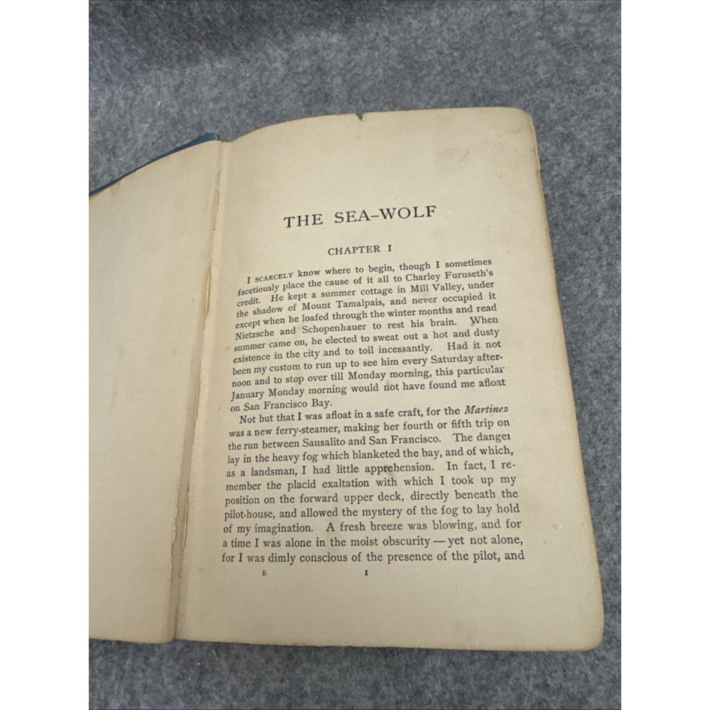 The Sea-Wolf By Jack London First Edition First Printing Macmillan October 1904