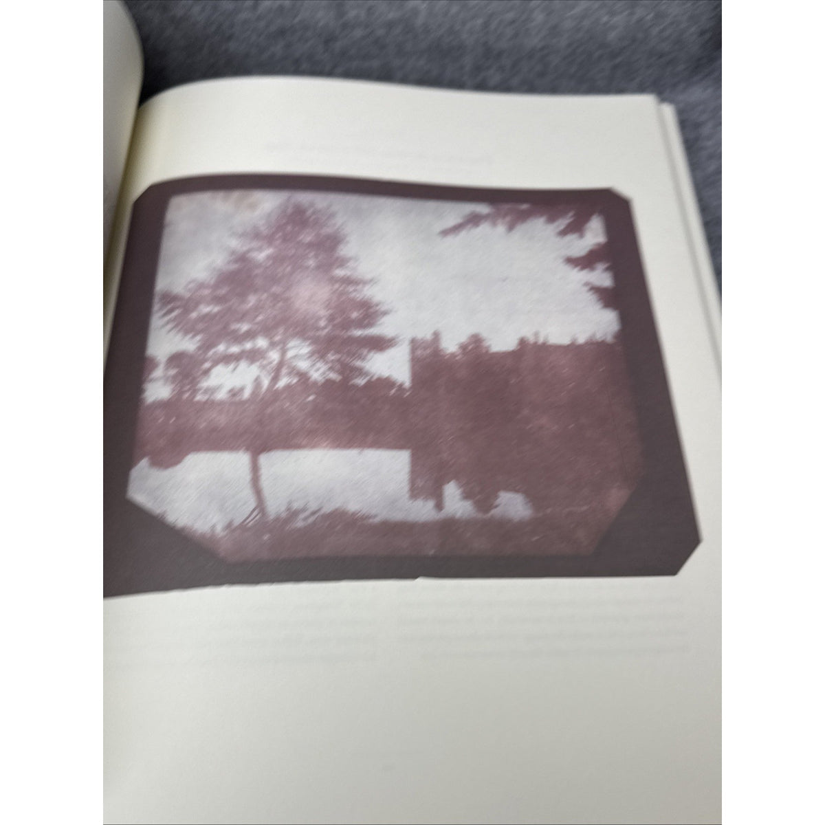 Photographic Art of William Henry Fox Talbot by Larry J. Schaaf (2000,...