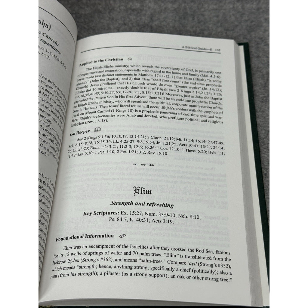1997 Understanding Types Shadows and Names Vol 2 D-F Kelley Varner Hardcover