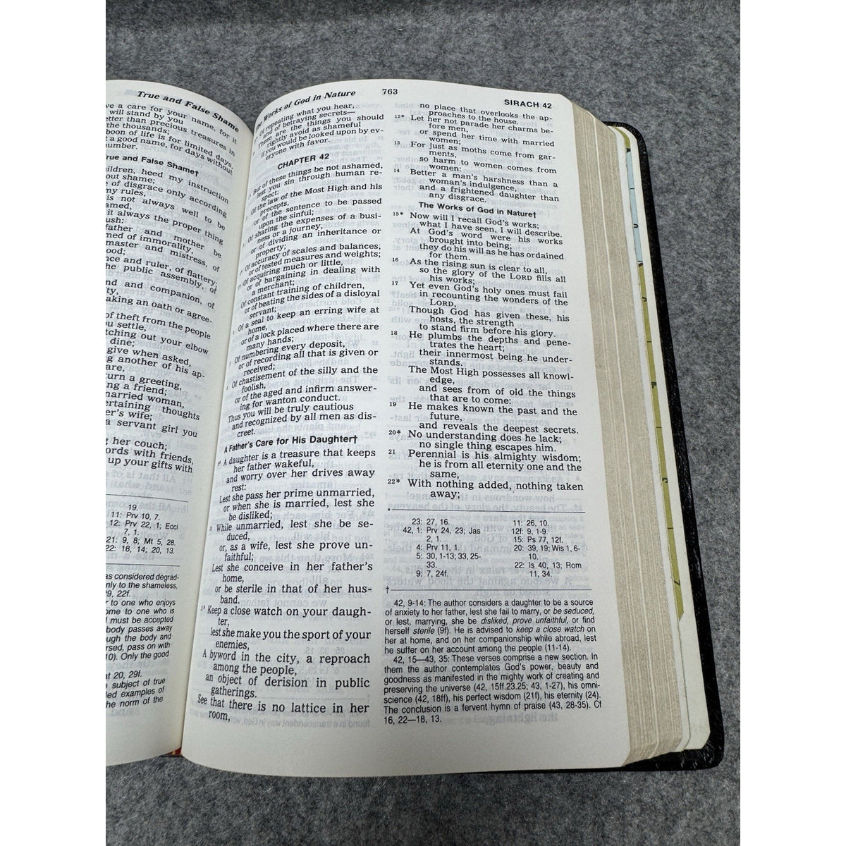 Vintage New American Bible Catholic Edition Family Study Bible Nelson 9053