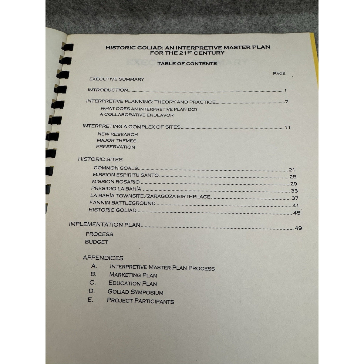 Historic Goliad Interpretive Master Plan 21st Century Draft Aug. 14 1998