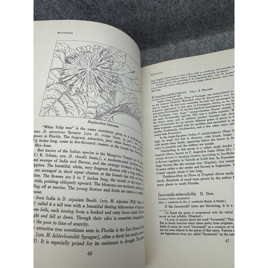 1962 Flowering Trees of the World Edwin A Menninger 1st Edition HC