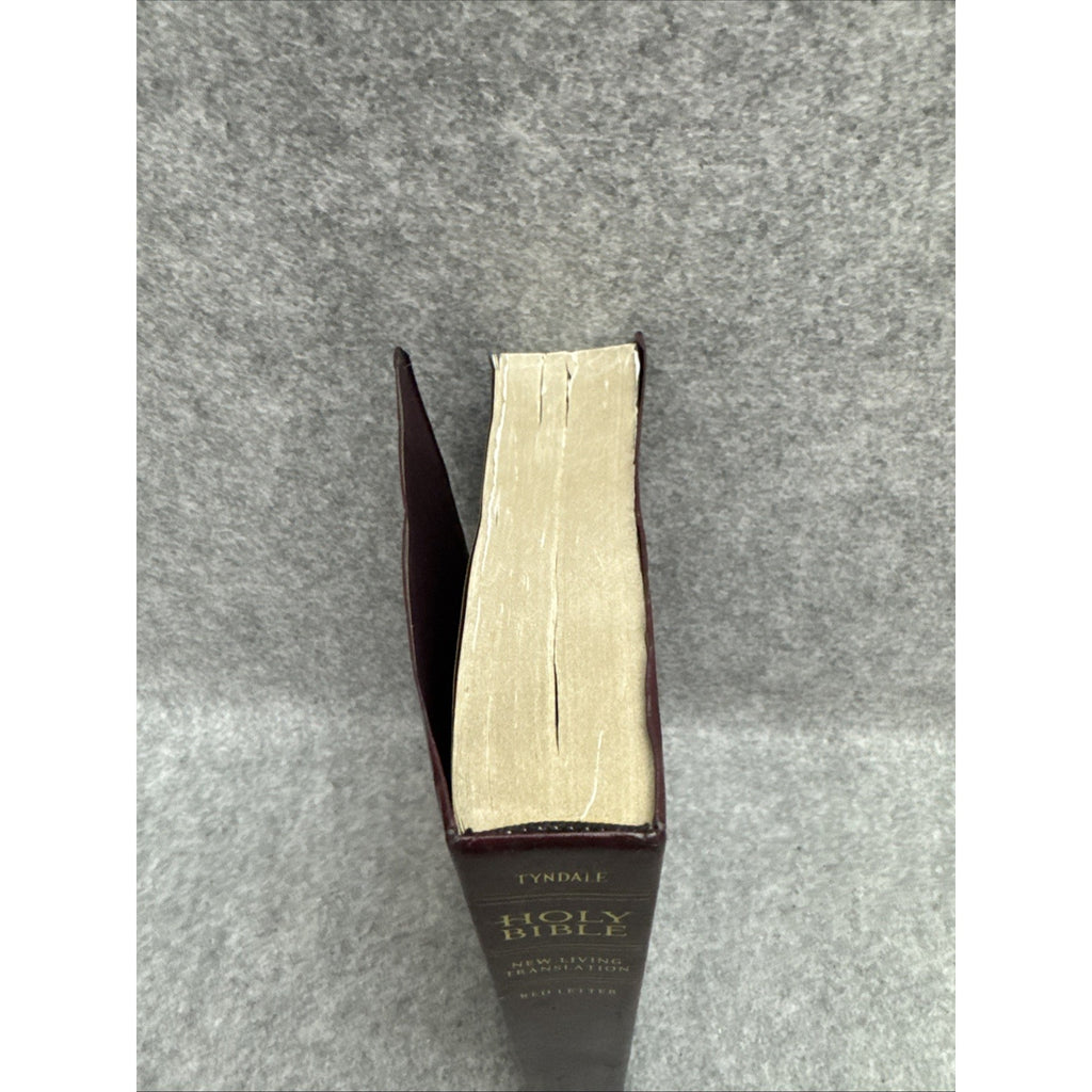 Holy Bible, Giant Print NLT by Tyndale House Publishers Staff (2008,...