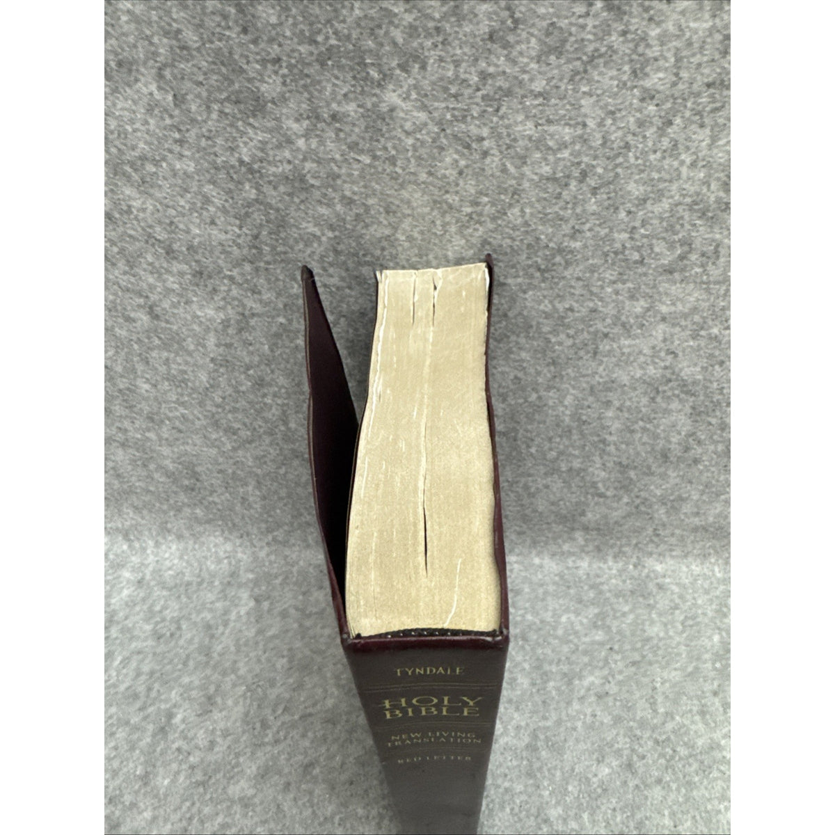 Holy Bible, Giant Print NLT by Tyndale House Publishers Staff (2008,...