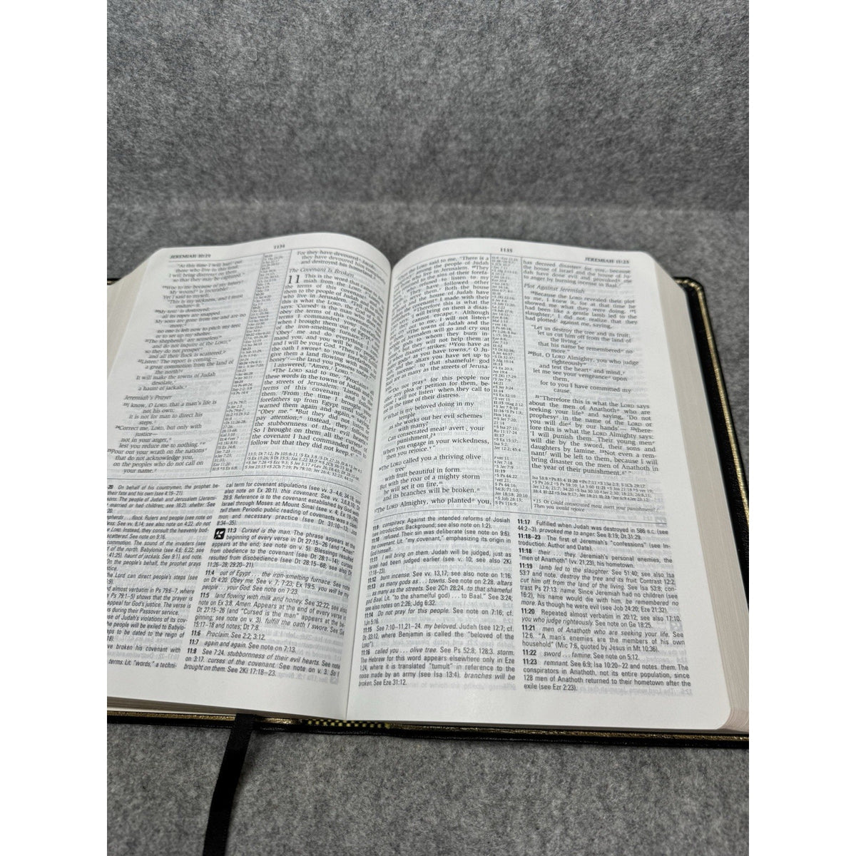 NIV Study Bible 1995 Zondervan Genuine Leather Red Letter Gilt Edges