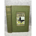 1911 Insect Life Comstock Color Plates Illustrated Entomology Hardcover