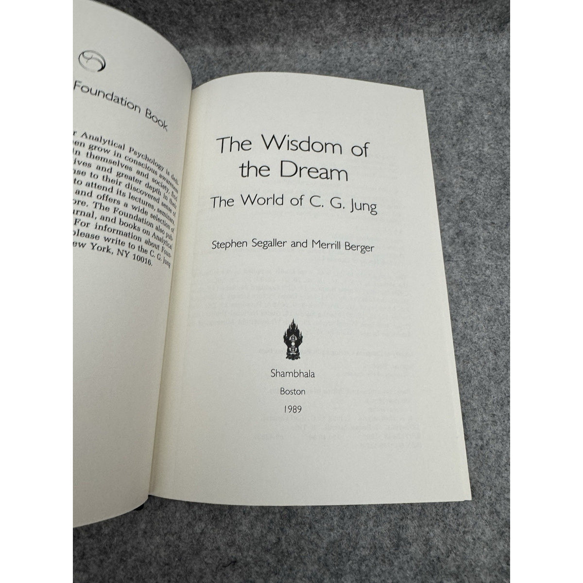 1989 Wisdom of the Dream World of C.G. Jung 1st Ed HC DJ Shambhala