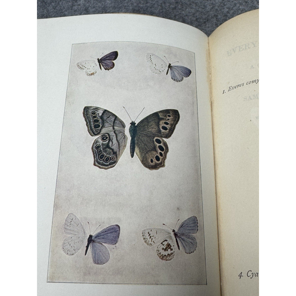 1899 Every-Day Butterflies Scudder First Edition Gilt Hardcover Color Plates