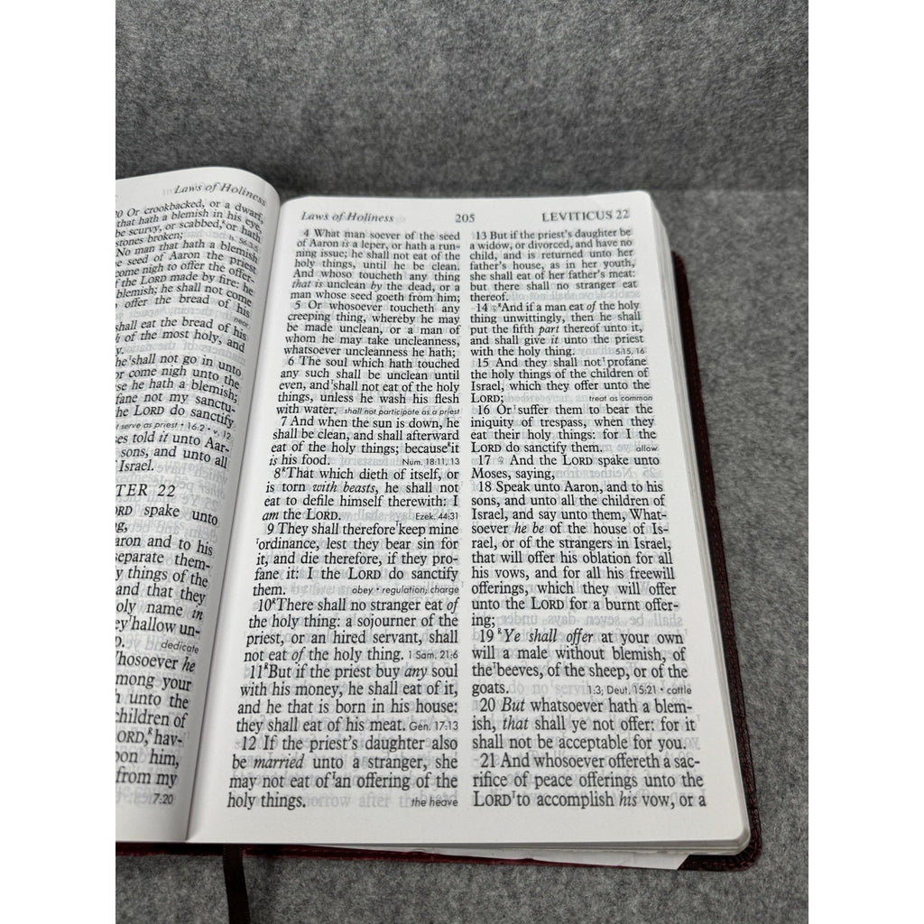 KJV Holy Bible Thomas Nelson Burgundy Red Letter Read Along References