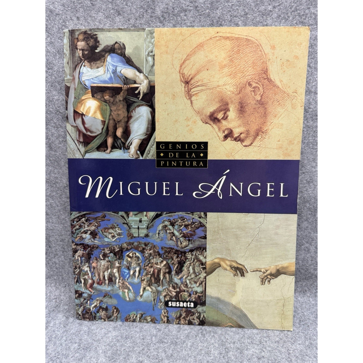 Miguel Angel Michelangelo Genios De La Pintura Spanish PB Susaeta Art