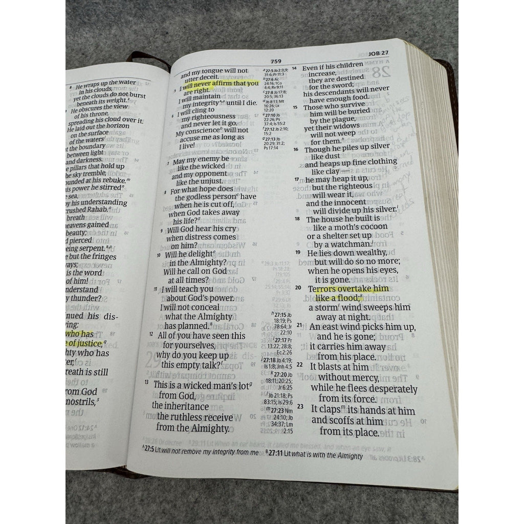 CSB Giant Print Center-Column Reference Bible Brown LeatherTouch Holman 2019