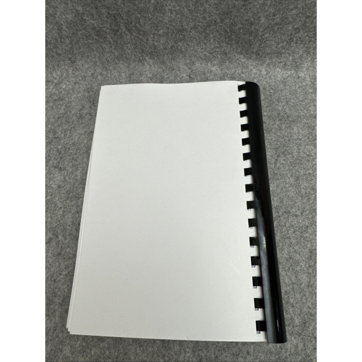 Panis’ Cookbook Second Edition 2021