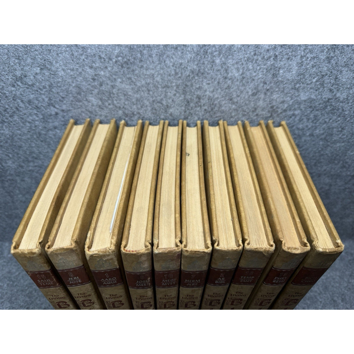 The Living Bible Encyclopedia Story & Pictures Art Treasure 10-Volume Set