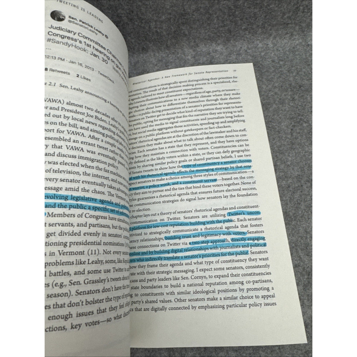Oxford Studies in Digital Politics Ser.: Tweeting Is Leading : How Senators...