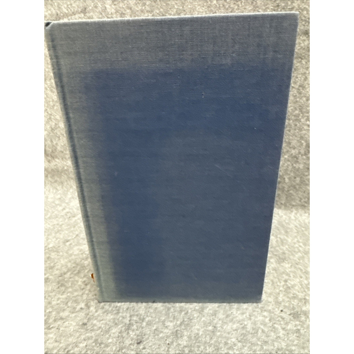 (1st US Ed) HC Renaissance Europe the Individual and Society, 1480-1520