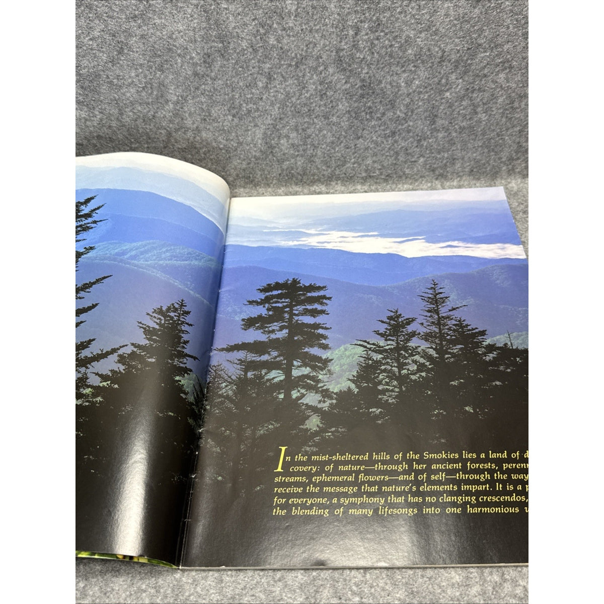 Great Smoky Mountains : The Story Behind the Scenery by Rita Cantu (1979, Trade
