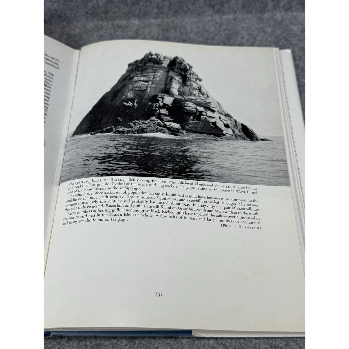 Birds Cornish Coast Isles of Scilly Penhallurick 1969 1st Edition HC DJ