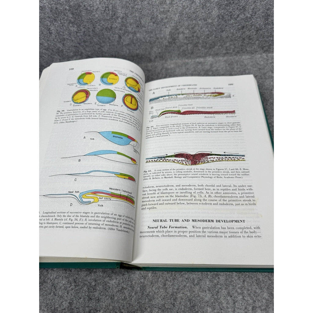 The Vertebrate Body Alfred Romer 3rd Ed 1966 Comparative Anatomy Illustrated