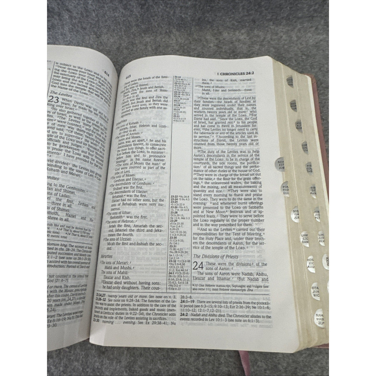 The Study Bible: New International Version/Tea Rose Bonded Leather
