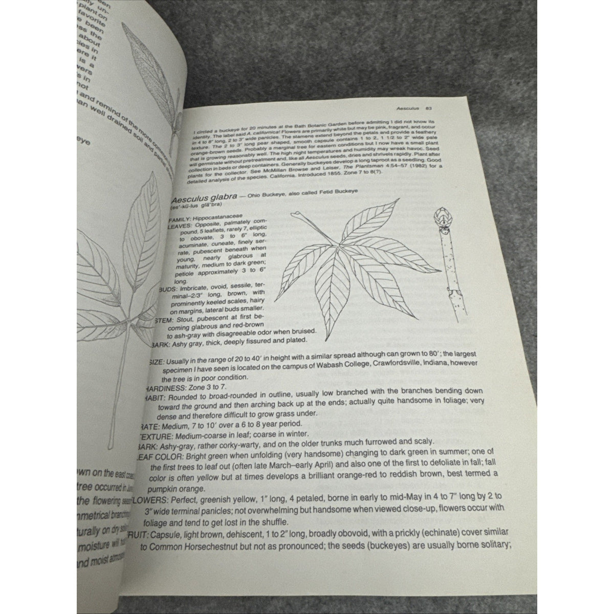 Manual of Woody Landscape Plants by Michael A. Dirr - 4th Edition 1990