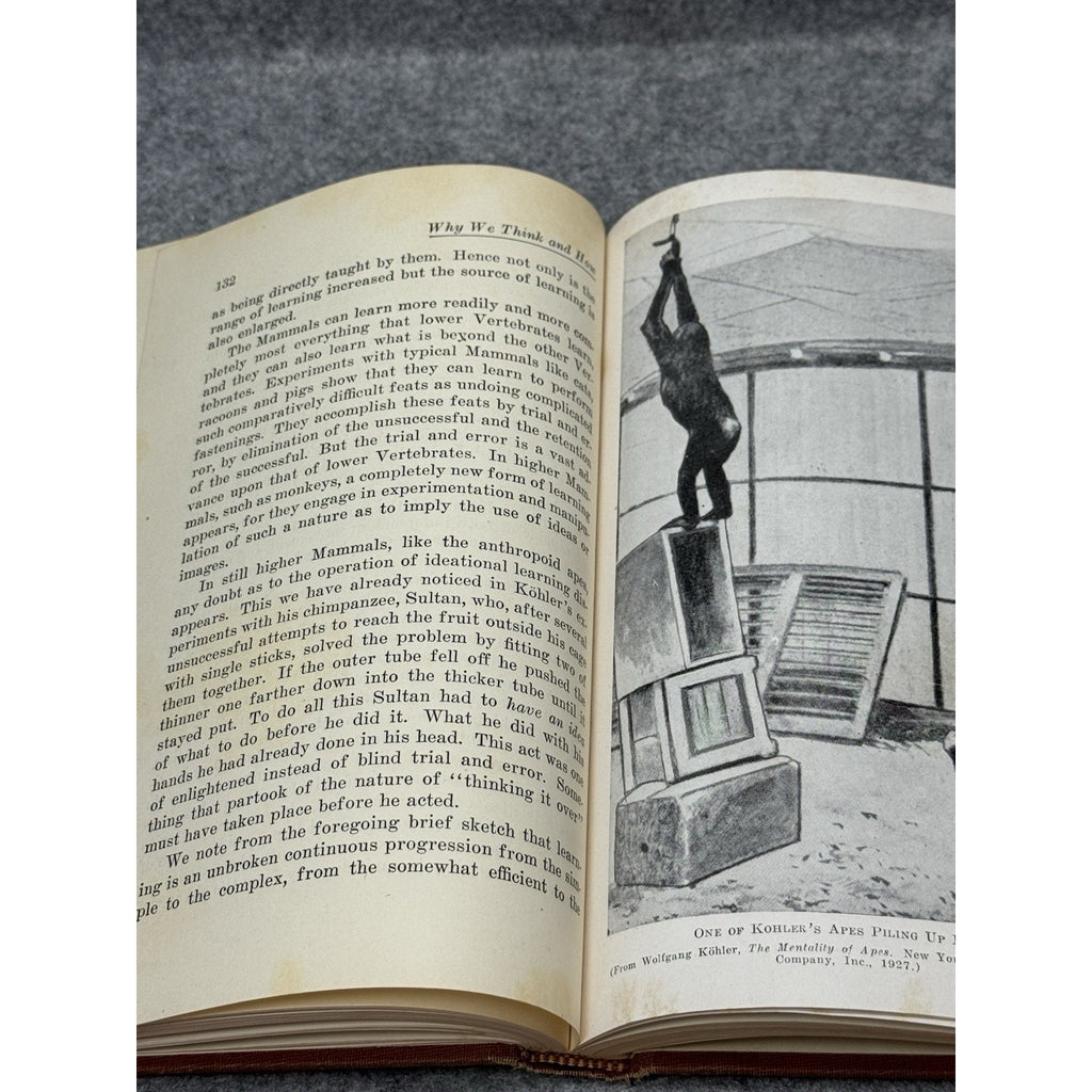 Human Nature in the Making Max Schoen 1945 Psychology Hardcover 1st Edition