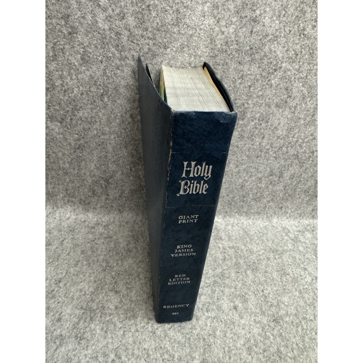 Holy Bible KJV Giant Print Red Letter Edition Pictorial Edition Regency 1973