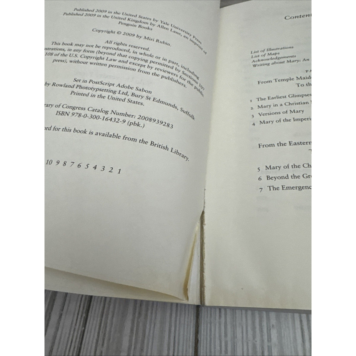 Mother of God : A History of the Virgin Mary by Miri Rubin (2010, Trade...