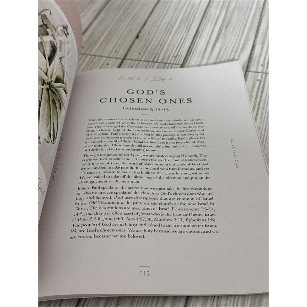 Colossians Bible Study | Rooted in Him