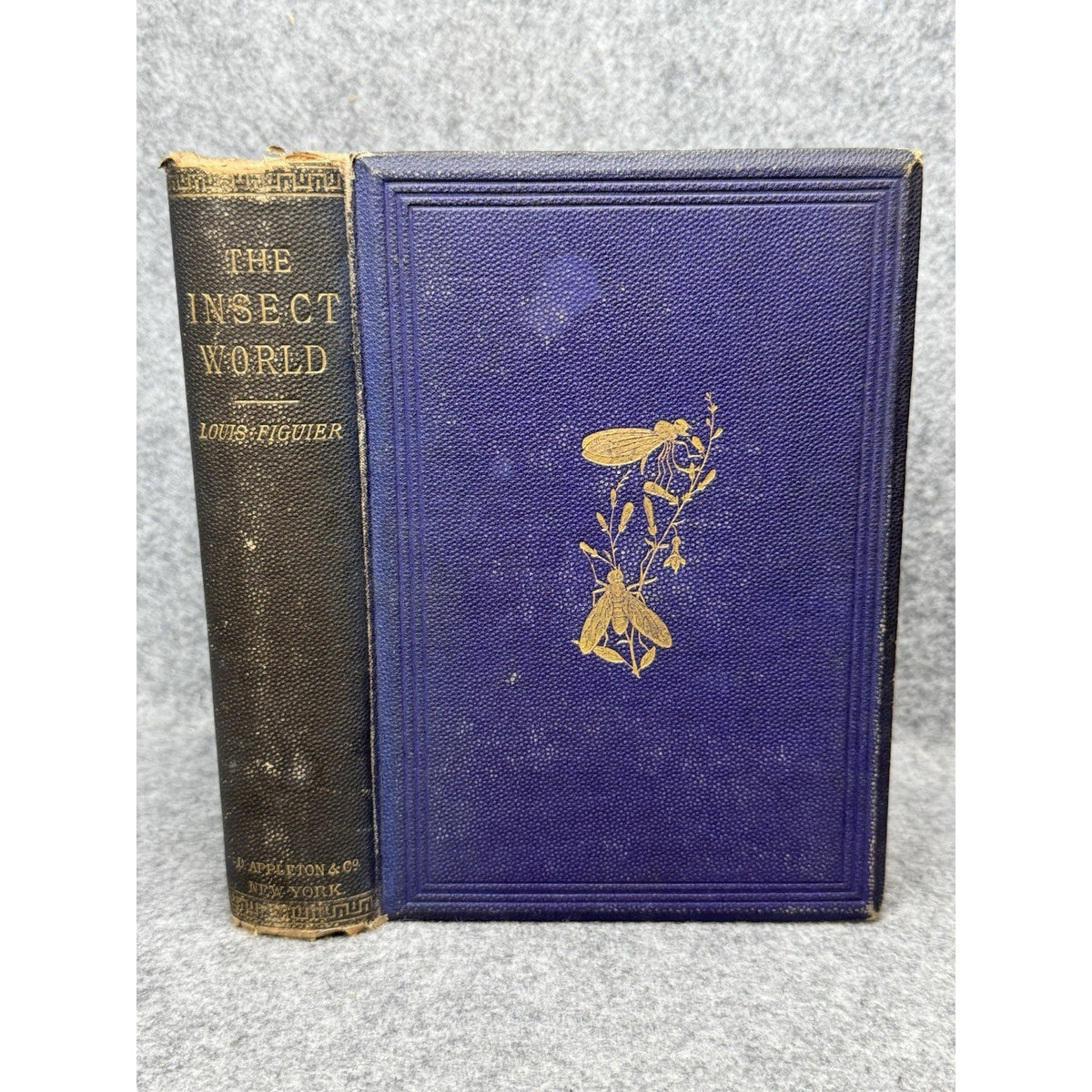 c.1872 The Insect World Louis Figuier 579 Illustrations Antique Gilt Hardcover