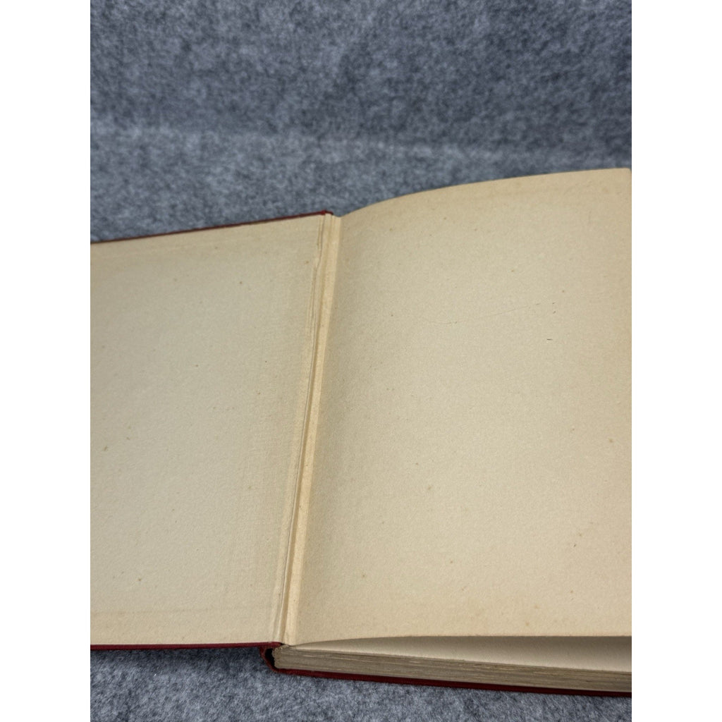 1929 Red Harvest Dashiell Hammett First Edition Knopf Skull Crime Novel