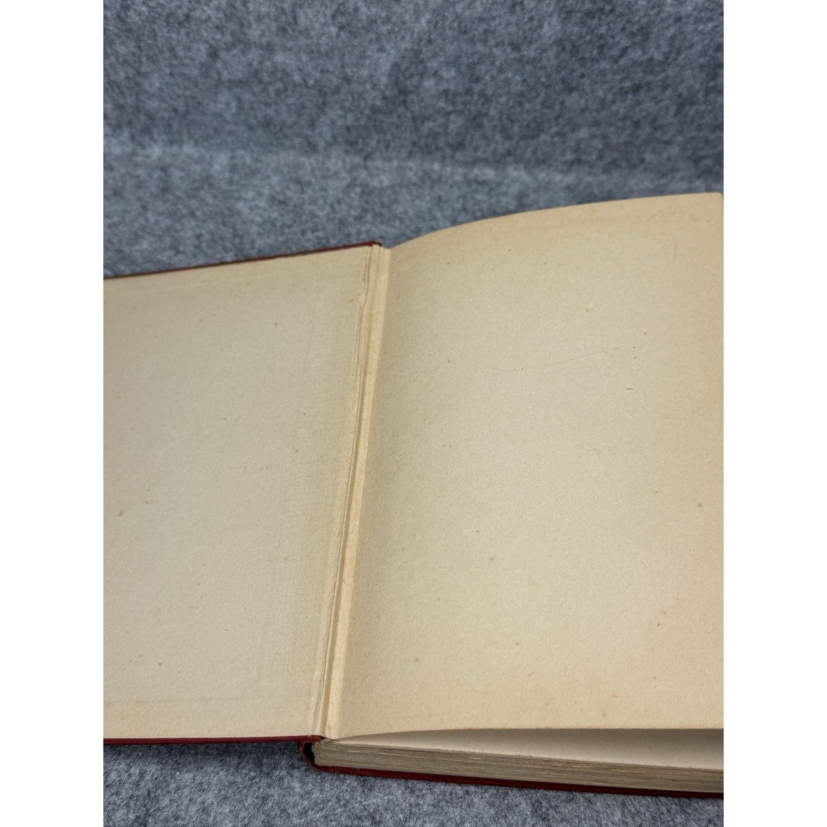1929 Red Harvest Dashiell Hammett First Edition Knopf Skull Crime Novel