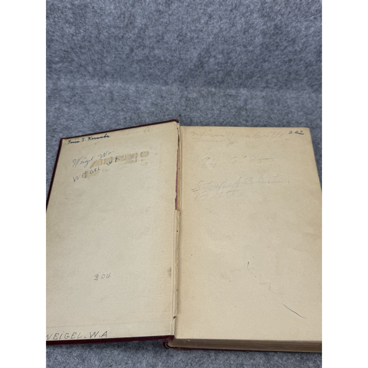 1927 Manual of Injurious Insects Glenn W Herrick Illustrated Entomology HC