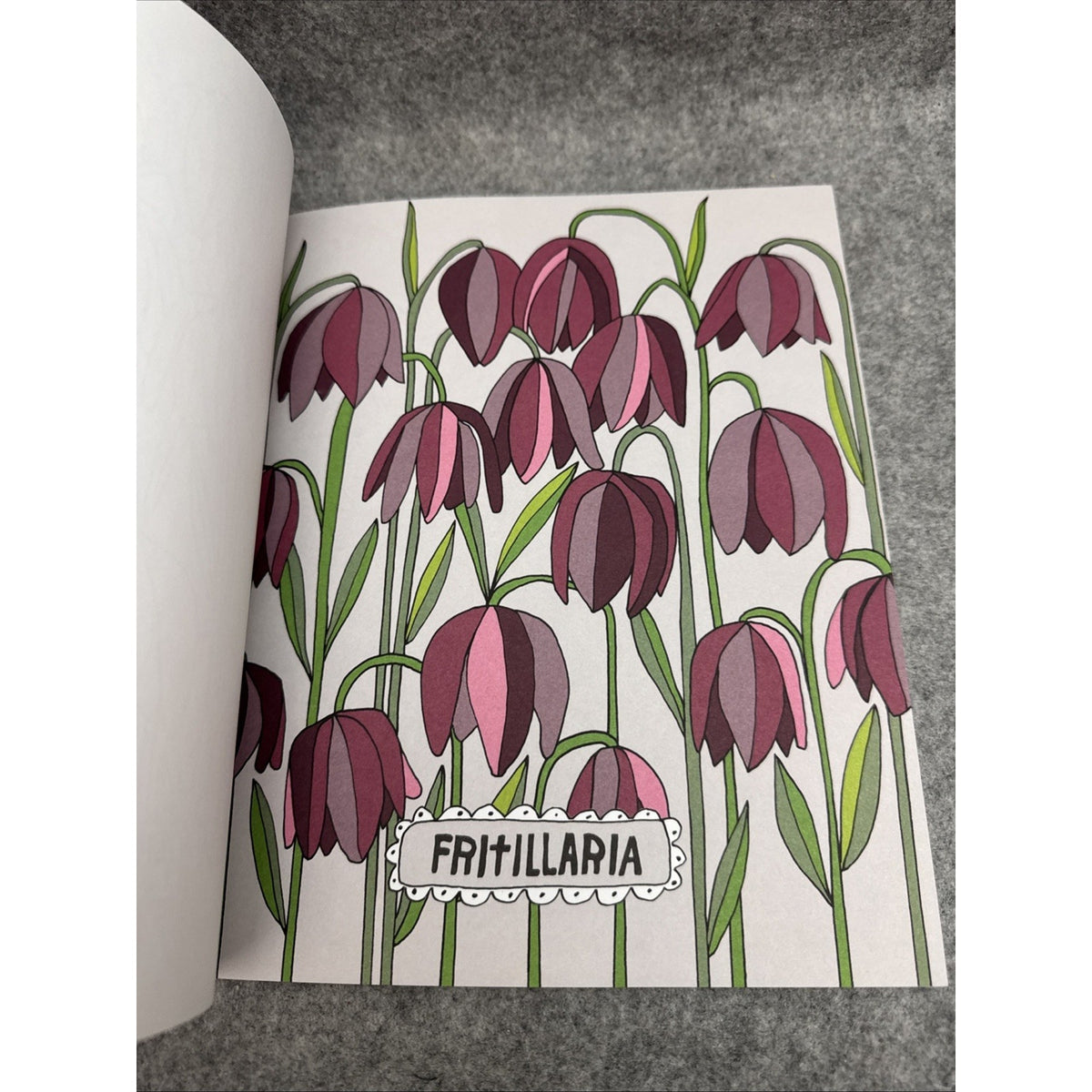 Just Add Color: Wildflowers 30 Original Illustrations to Color, Customize, and