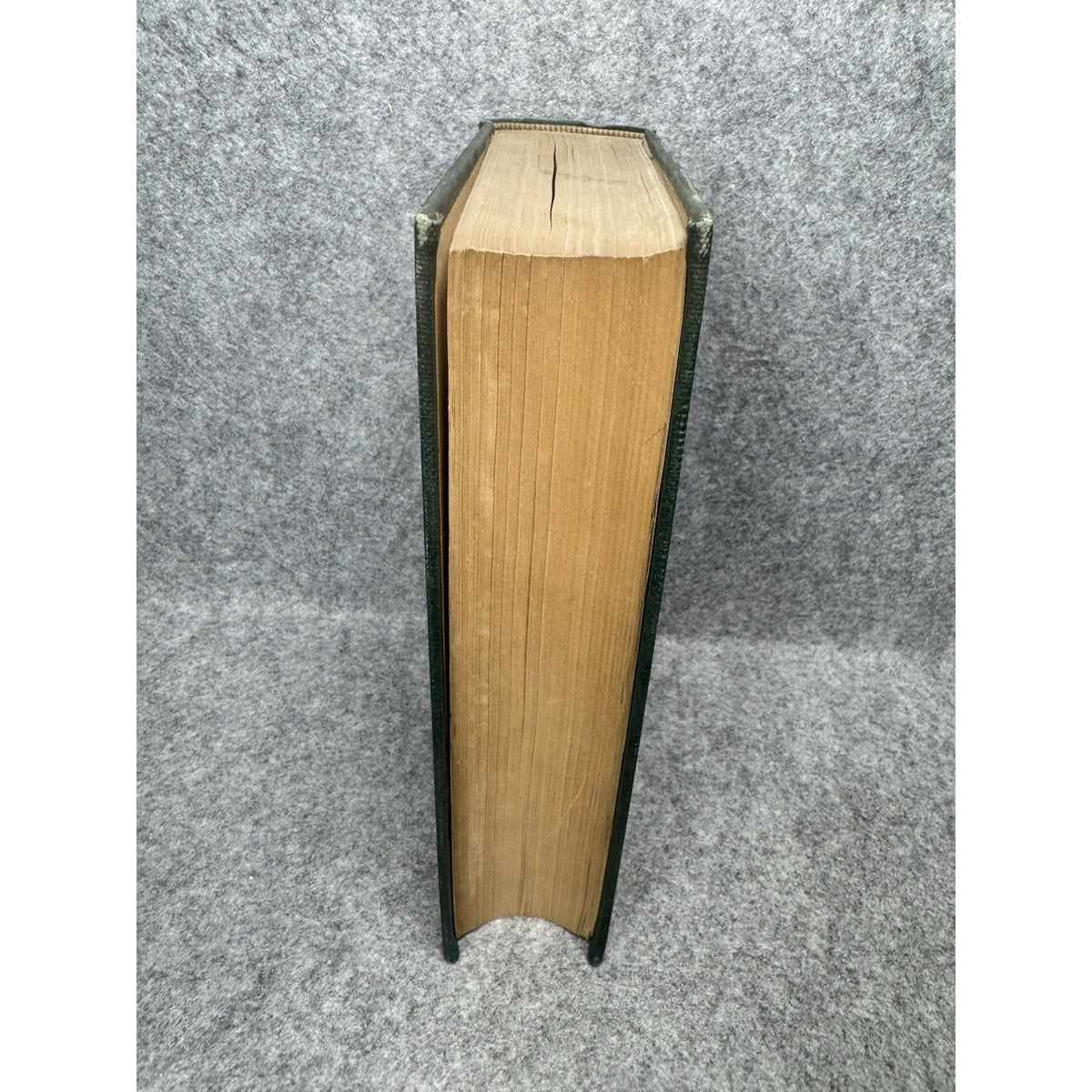 1924 Introduction to Entomology Comstock First Complete Edition Illustrated HC